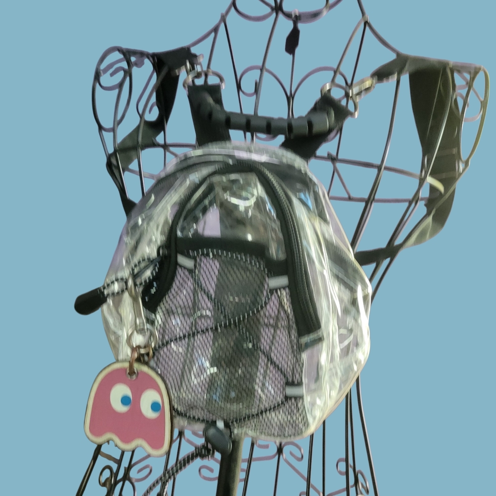 Clear Backpack with Black Accents